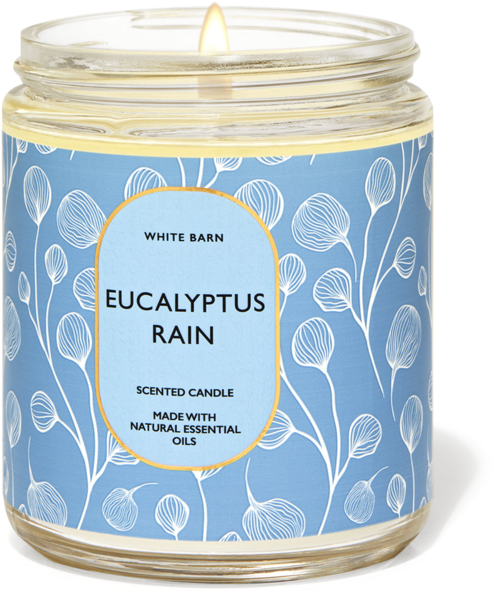 Eucalyptus Rain Wax Melts
