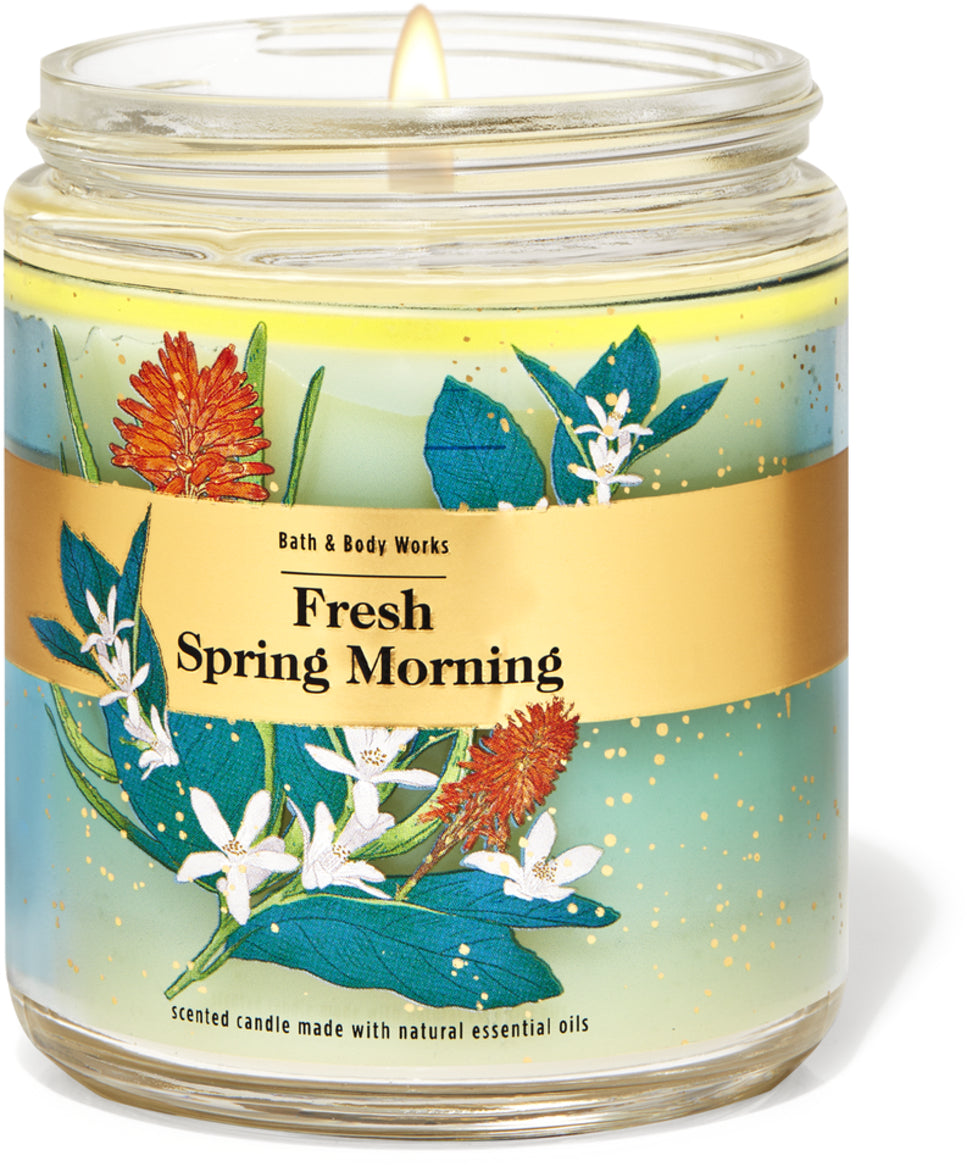 Bath Body Works FRESH SPRING MORNING single-wick Candle oz