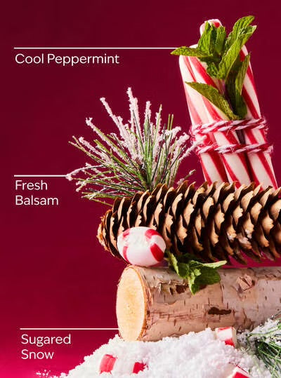 Bath & Body Works 🇺🇸 TWISTED PEPPERMINT Fine Fragrance Mist 8 fl oz /236mL