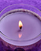Bath & Body Works 🇺🇸 Disney RAPUNZEL single-wick Candle 8 oz / 227g