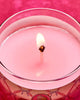 Bath & Body Works 🇺🇸 Disney AURORA Single-wick Candle 8 oz / 227g