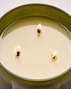 Bath & Body Works 🇺🇸 SPRING APPLE 3-wick Candle 14.5 oz / 411 g