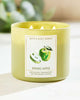 Bath & Body Works 🇺🇸 SPRING APPLE 3-wick Candle 14.5 oz / 411 g