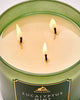 Bath & Body Works 🇺🇸 EUCALYPTUS MINT 3-wick Candle 14.5 oz / 411 g