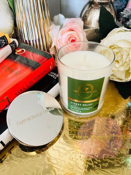 Bath & Body Works 🇺🇸 EUCALYPTUS SPEARMINT single-wick Candle 7 oz / 198g
