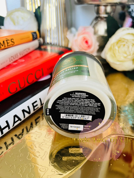 Bath & Body Works 🇺🇸 EUCALYPTUS SPEARMINT single-wick Candle 7 oz / 198g