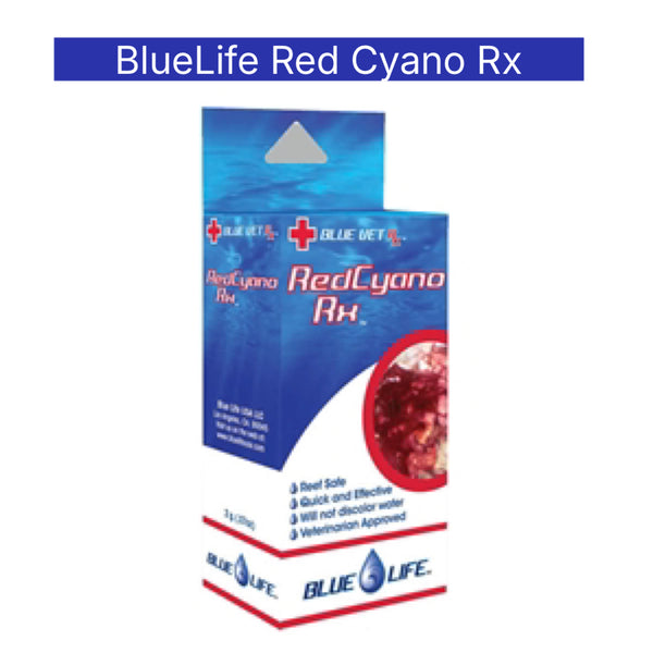 BlueLife Red Cyano Rx