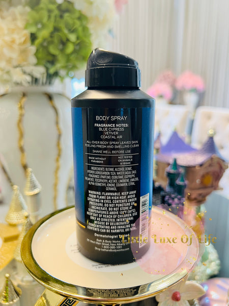 Bath & Body Works 🇺🇸 OCEAN Men's Body Spray 3.7 oz / 104g